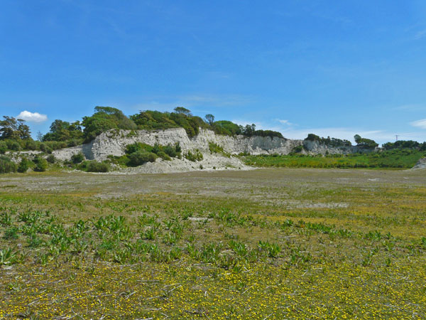 East Sussex Local Geological Sites - Balcombe Pit