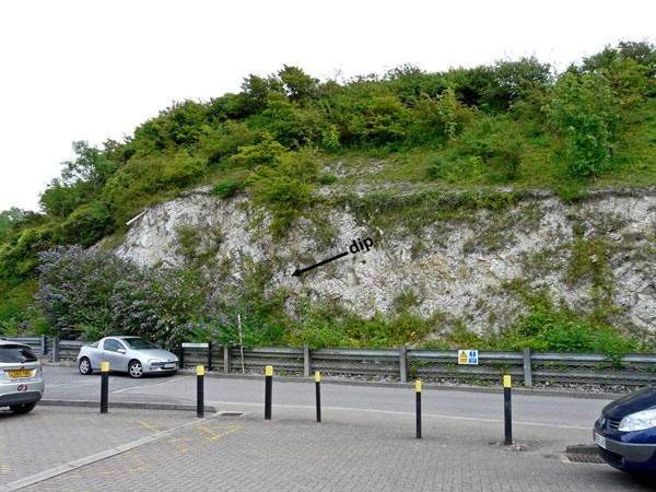 East Sussex Local Geological Sites - Southerham Works Quarry