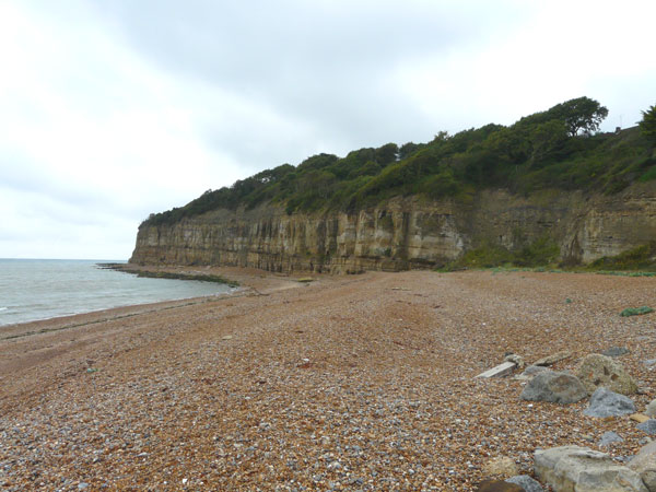East Sussex Local Geological Sites - Coastal Section Cliff End