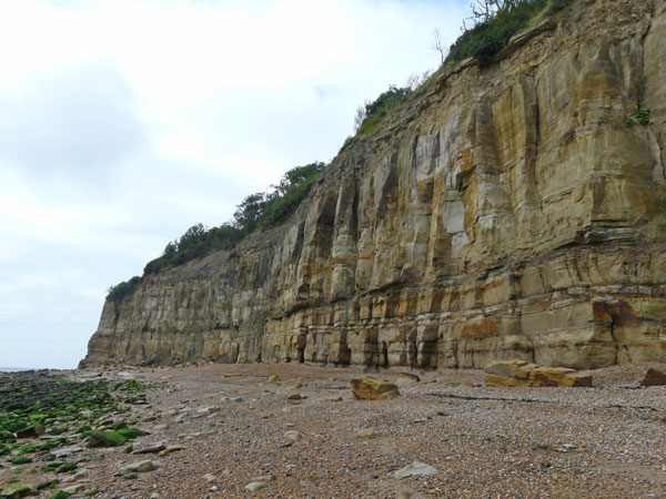 East Sussex Local Geological Sites - Coastal Section Cliff End