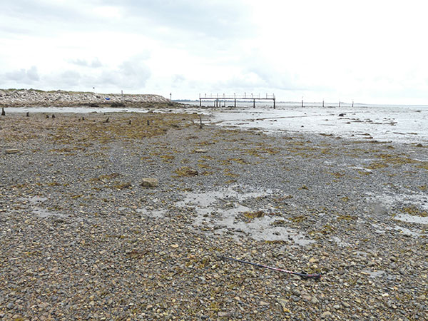 West Sussex Local Geological Sites - Chichester Harbour - Longmere Point