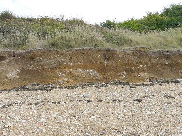 West Sussex Local Geological Sites - Chichester Harbour, Ella Nore