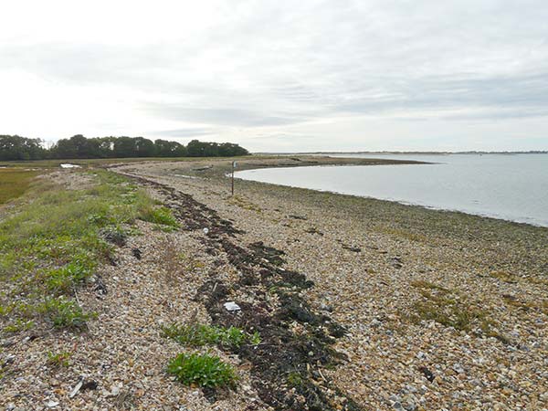 West Sussex Local Geological Sites - Chichester Harbour, Ella Nore