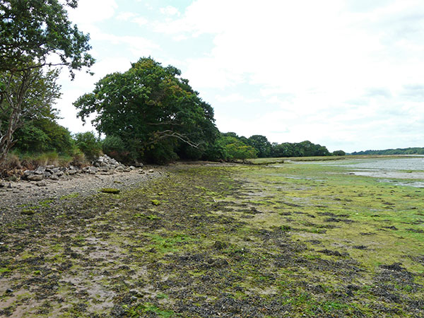 West Sussex Local Geological Sites - Chichester Harbour - Dell Quay to Chichester Marina
