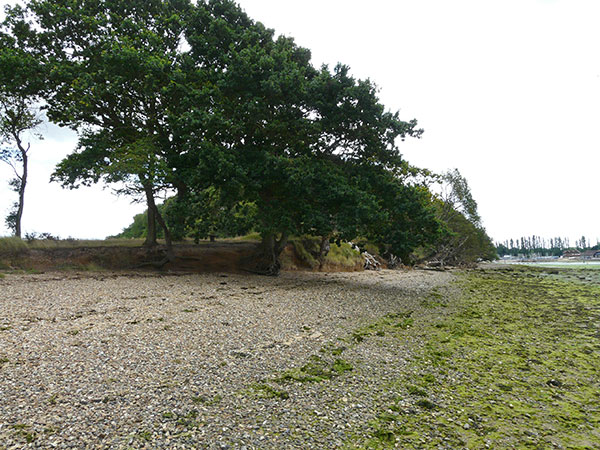 West Sussex Local Geological Sites - Chichester Harbour - Dell Quay to Chichester Marina