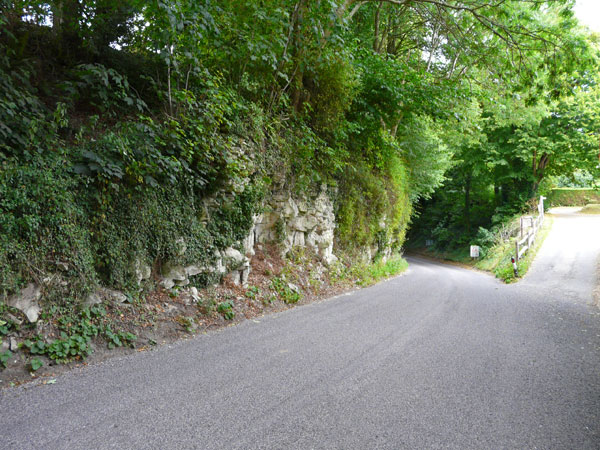 West Sussex Local Geological Sites - Elsted Road Cutting