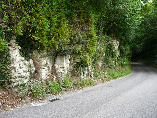 West Sussex Local Geological Sites - Elsted Road Cutting