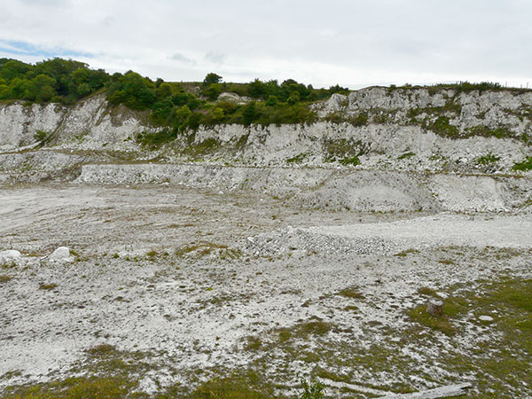West Sussex Local Geological Sites - Cocking Chalk Pit