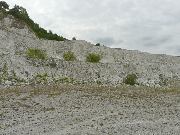 West Sussex Local Geological Sites - Cocking Chalk Pit