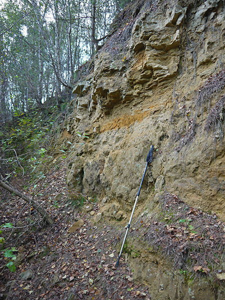 West Sussex Local Geological Sites - James Quarry