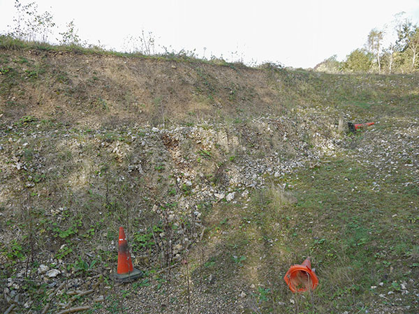 West Sussex Local Geological Sites - Eartham Pit