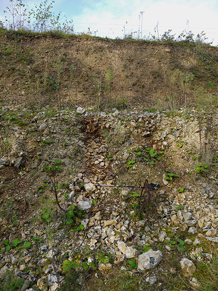 West Sussex Local Geological Sites - Eartham Pit