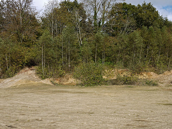 West Sussex Local Geological Sites - Slindon Common Gravel Pit