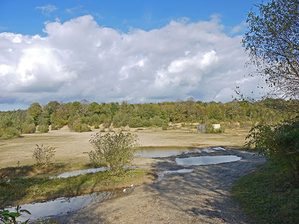 West Sussex Local Geological Sites - Slindon Common Gravel Pit