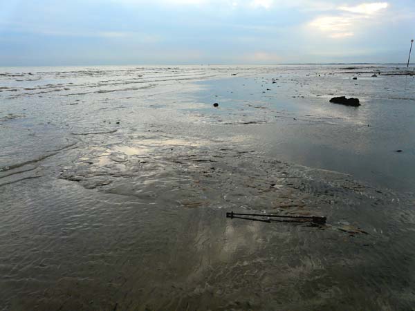 West Sussex Local Geological Sites - Felpham Foreshore