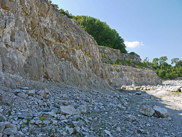West Sussex Local Geological Sites - Duncton Chalk Quarry