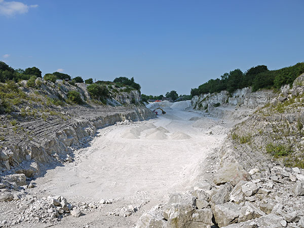 West Sussex Local Geological Sites - Duncton Chalk Quarry