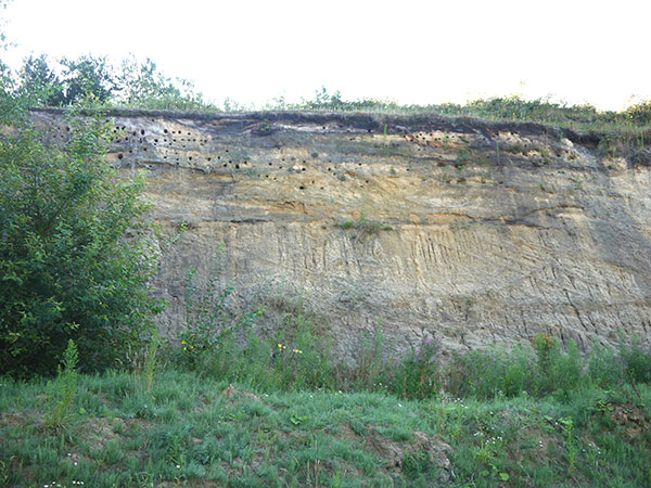 West Sussex Local Geological Sites - Heath End Sand Pit