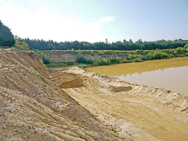 West Sussex Local Geological Sites - Heath End Sand Pit