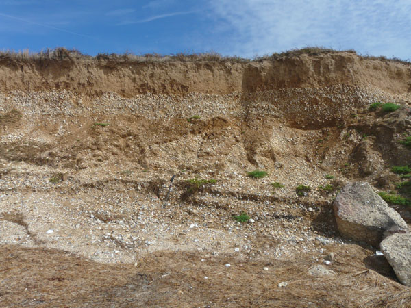 West Sussex Local Geological Sites - Bracklesham Bay