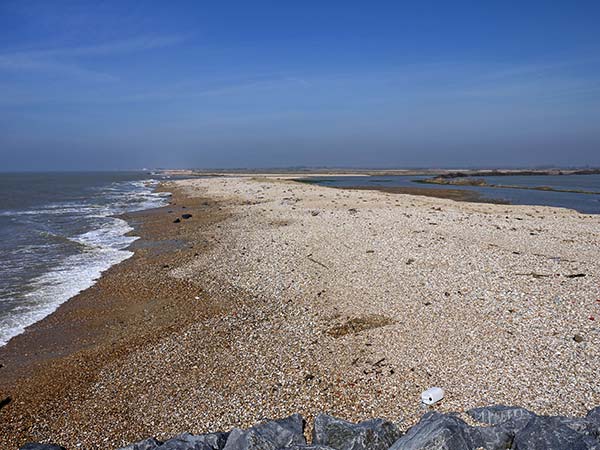 West Sussex Local Geological Sites - Bracklesham Bay, Medmerry