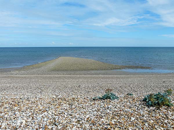 West Sussex Local Geological Sites - Pagham Harbour