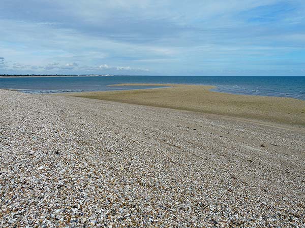 West Sussex Local Geological Sites - Pagham Harbour
