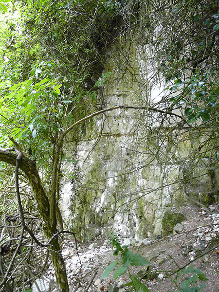 West Sussex Local Geological Sites - Warningcamp Quarry