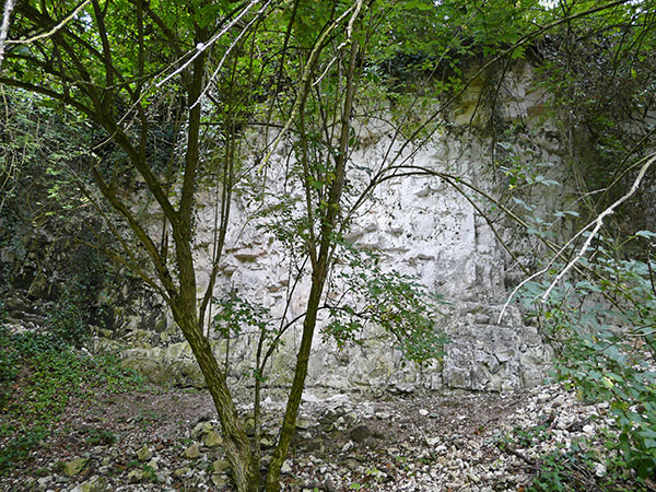 West Sussex Local Geological Sites - Warningcamp Quarry