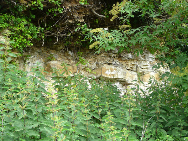West Sussex Local Geological Sites - Amberley Castle