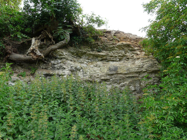 West Sussex Local Geological Sites - Amberley Castle