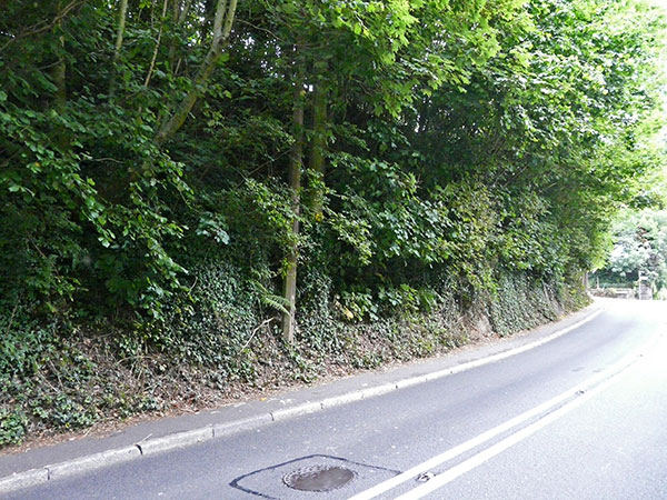 West Sussex Local Geological Sites - A29 Road Cutting Pulborough