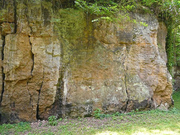 West Sussex Local Geological Sites - Codmore Hill