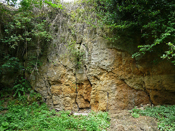 West Sussex Local Geological Sites - Codmore Hill