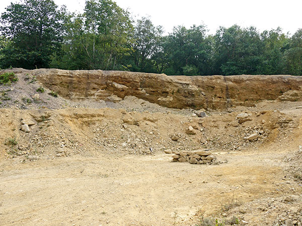 West Sussex Local Geological Sites - Bognor Common Quarry