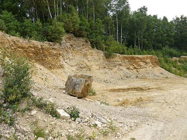 West Sussex Local Geological Sites - Bognor Common Quarry