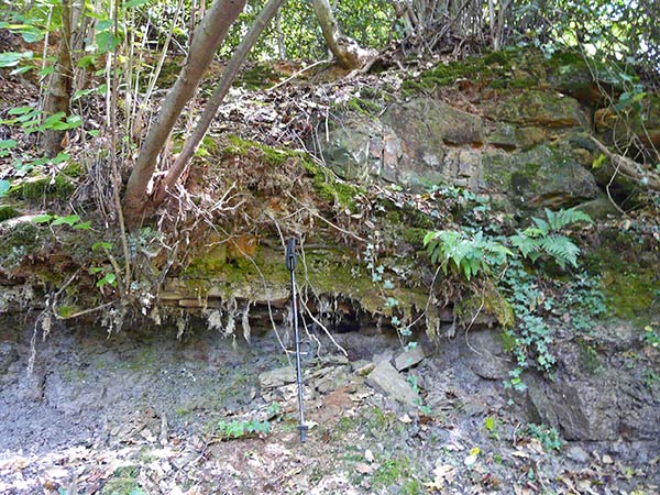 West Sussex Local Geological Sites - Coppedhall Hanger