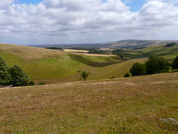 West Sussex Local Geological Sites - Steyning Bowl