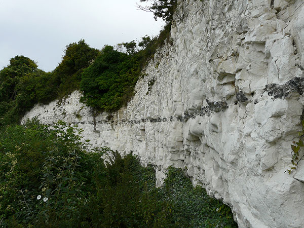 West Sussex Local Geological Sites - Gaster Pit 7 - Sompting
