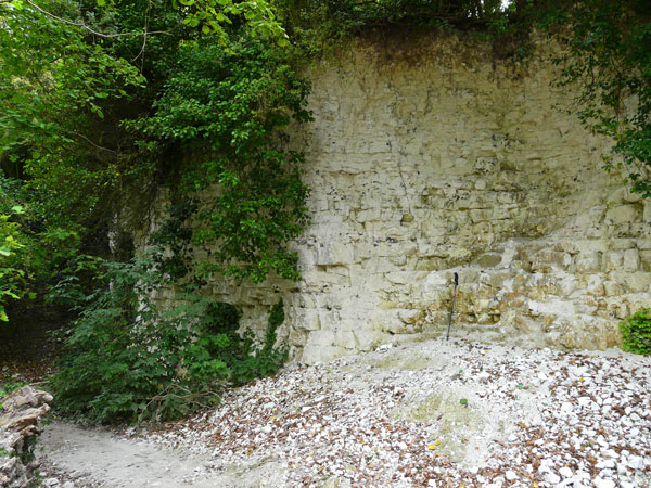 West Sussex Local Geological Sites - Cote Bottom