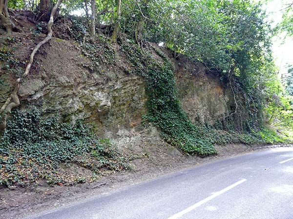 West Sussex Local Geological Sites - Jacket's Hill
