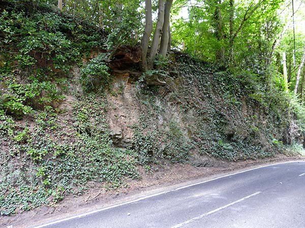 West Sussex Local Geological Sites - Jacket's Hill