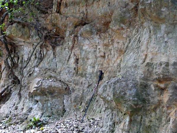West Sussex Local Geological Sites - Warminghurst Cutting