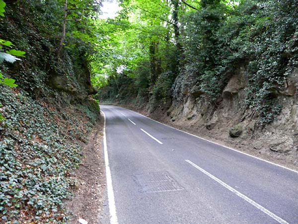 West Sussex Local Geological Sites - Thakeham Road Cutting