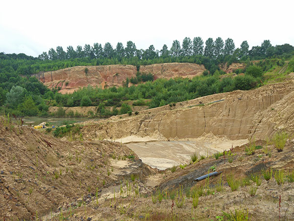 West Sussex Local Geological Sites - Rock Common Sand Quarry