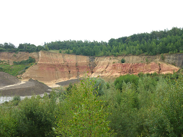 West Sussex Local Geological Sites - Rock Common Sand Quarry