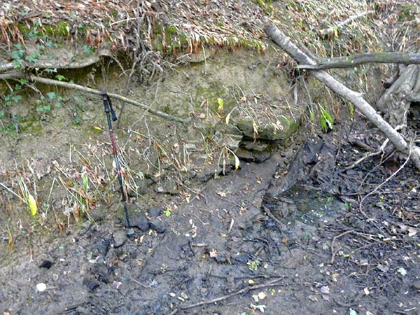 West Sussex Local Geological Sites - Slinfold Stream and Quarry