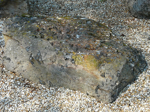 East Sussex Local Geological Sites - The Goldstone -  Hove Park