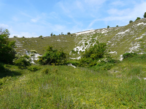 West Sussex Local Geological Sites - Saddlescombe Chalk Pit