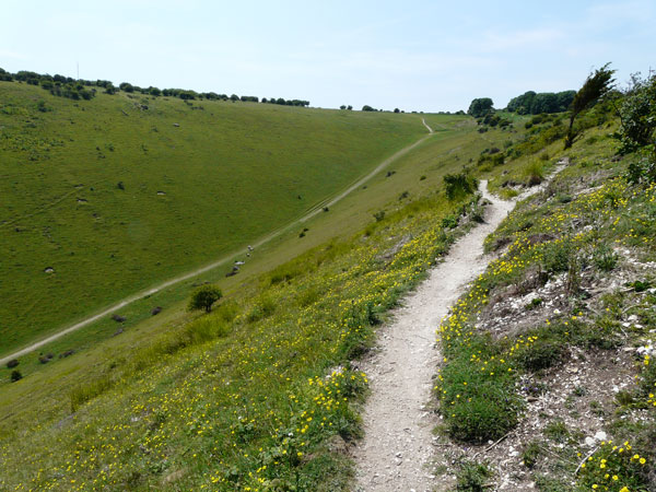 West Sussex Local Geological Sites - Devil's Dyke